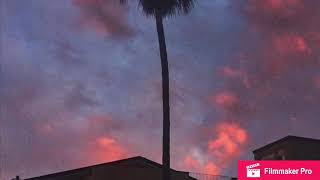 tripp kelly - leave me alone (Lyrics) @demonicangel1775