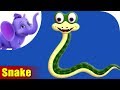 Snake Rhymes, Snake Animal Rhymes Videos for Children