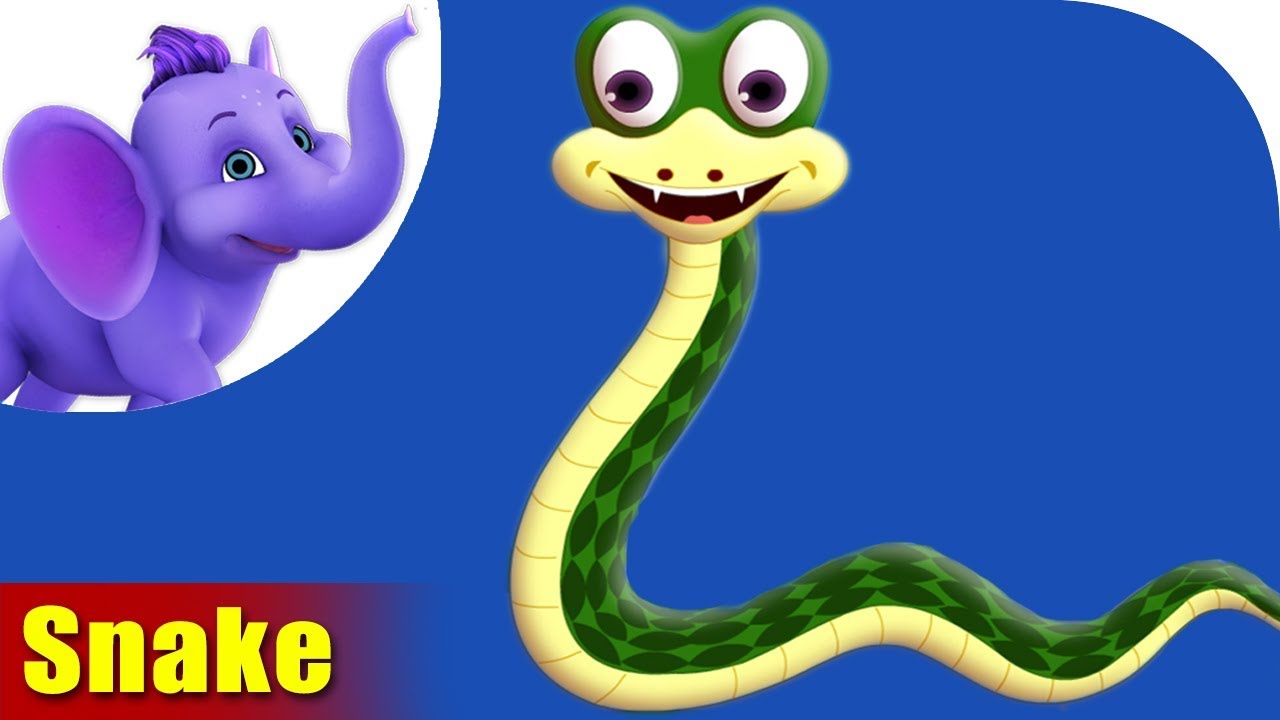 Snake Rhymes Snake Animal Rhymes Videos for Children