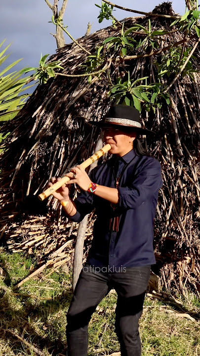 The Song Of Ocarina - Pan Flute #song #instrumental #flute #Tecno