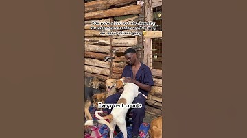 PayPal link in bio to donate anything in your pocket please 🙏