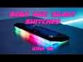 Bobg Gum Silent linear sound test with Kira 96