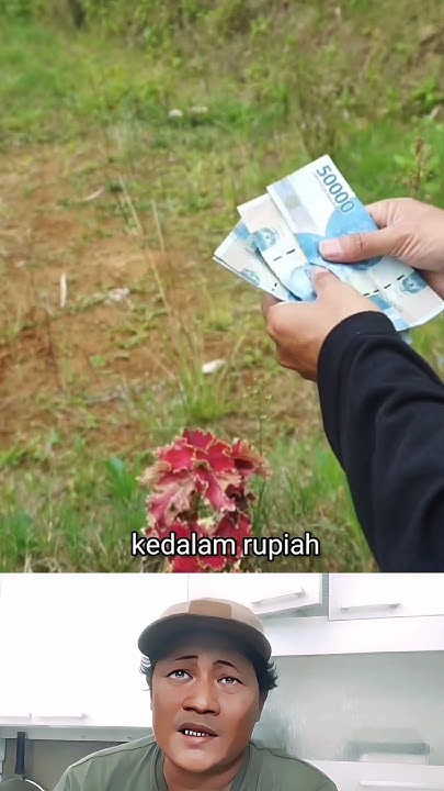1-real-brasil-berapa-rupiah-shortsclip-youtube