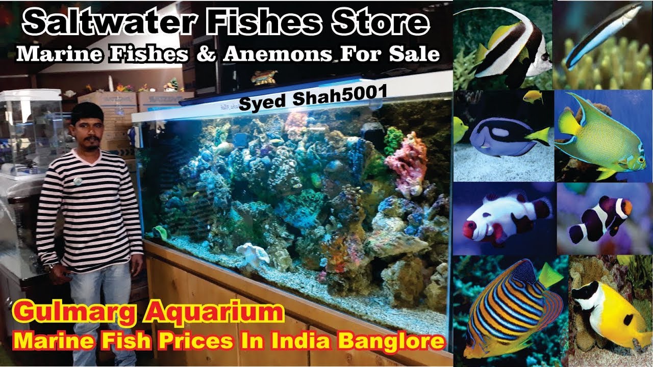 marine aquarium store near me