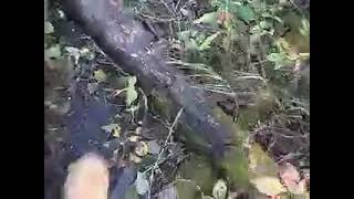 2016 Part 2 (16-09-16)