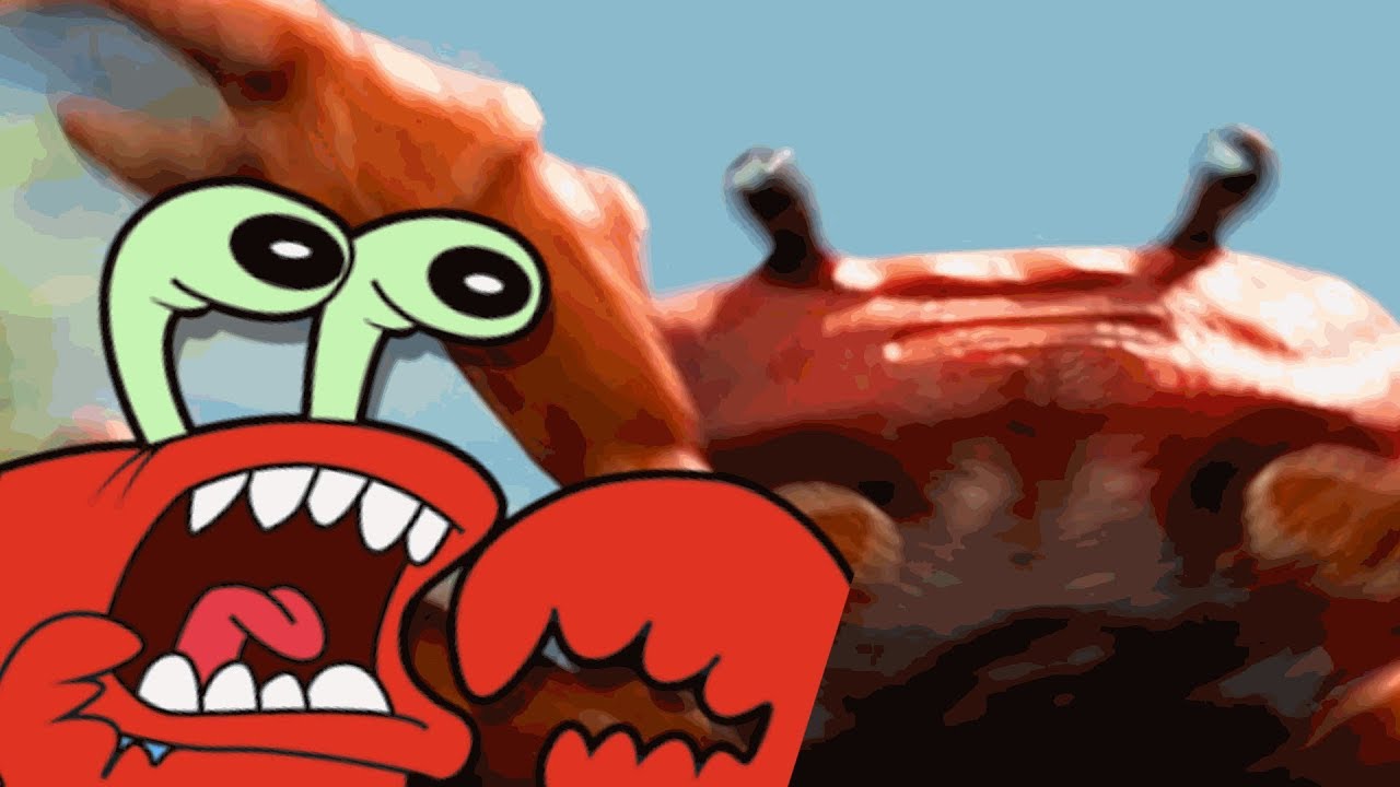 Crab Smash Meme - roblox song codes 2019 crab rave