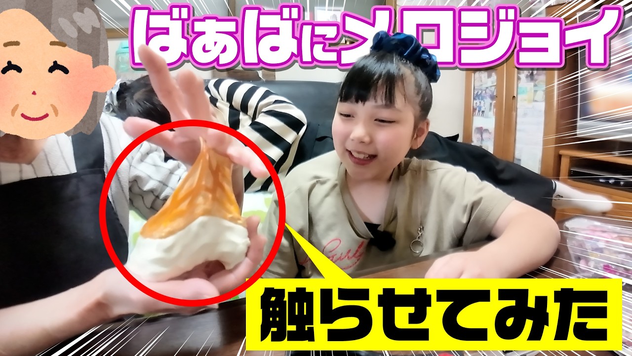 Vlog] Spring is lively too! A close look at Hamachiko-chan, who is