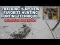 November Central NY deer tracking in fresh snow