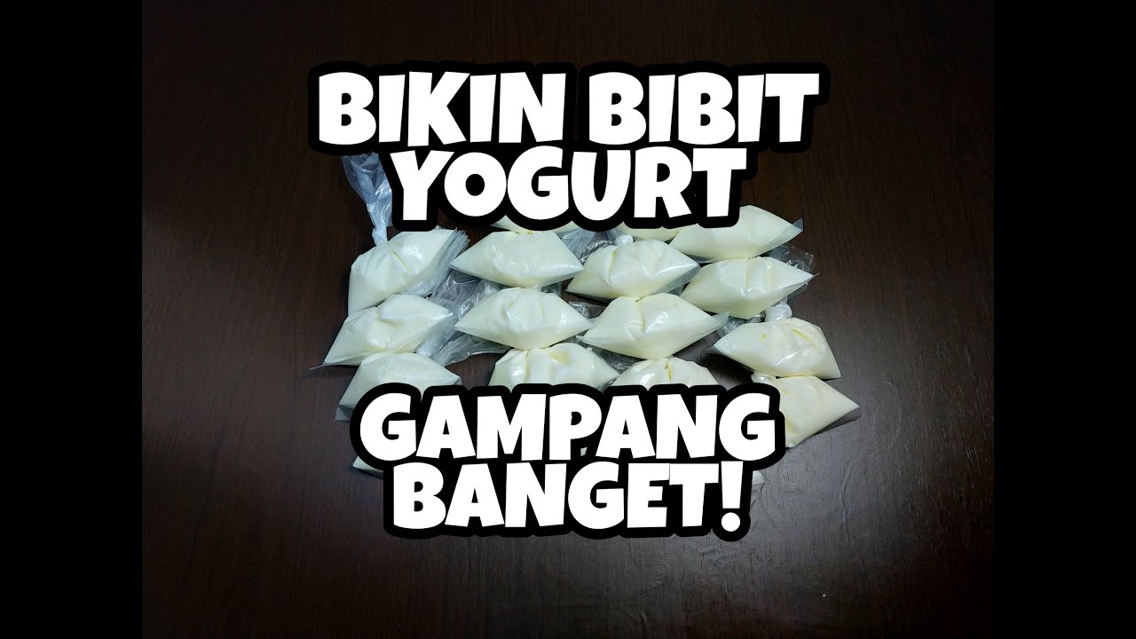 HOW TO MAKE YOGURT (DRIED STARTER) | MEMBUAT YOGURT HOMEMADE (BIBIT