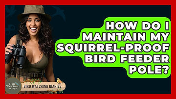 How Do I Maintain My Squirrel-Proof Bird Feeder Pole? - Bird Watching Diaries