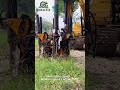 This Machine Moves a GIANT Tree Like It's Nothing! 🤯 #heavyequipment #gardening #satisfying