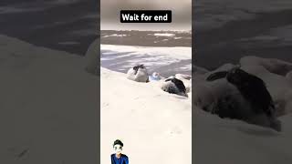 Waha Se Dur Hat Jana