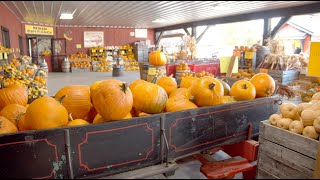Famous Autumn in Amish Country, Holmes County Ohio Profile