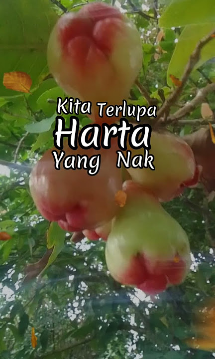 Kita Akan Dijemput Ukays #ukays #retro90an