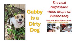 Gabbys a Dirty Dog
