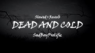Sadboyprolific - Dead And Cold Slowed Reverb Lyrics