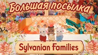 ОГРОМНАЯ посылка с SYLVANIAN FAMILIES 🐰🐹🐶 unboxing second hand