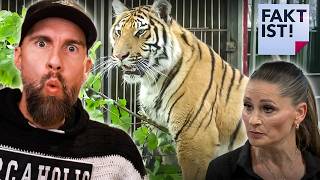 Tigerhaltung muss beendet werden! Carmen Zander bei „Fakt ist!“ im MDR | Robert Marc Lehmann