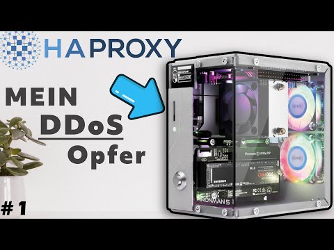 My new DDoS victim. We'll take a closer look at HAProxy.