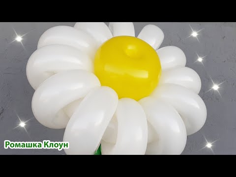 Video: Cara Membuat Daisy Daripada Belon