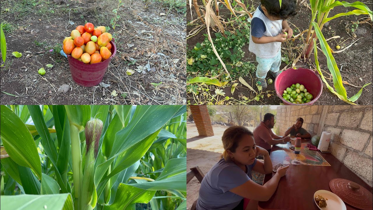 Visitando a mi hermana🥰//no se que hacer con esto 🫣#minivlog #hasmeviral #parati #familia