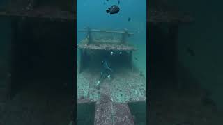 Freediver Dives Ship Wreck | Phuket Thailand 🇹🇭