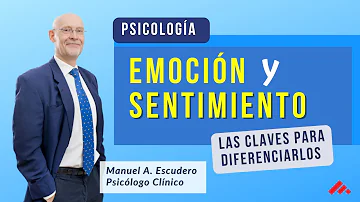 ¿Qué son las emociones básicas y las complejas?