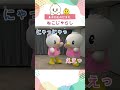 【ピヨ丸】ねこじゃらし #Shorts #ピヨ丸 #東洋羽毛