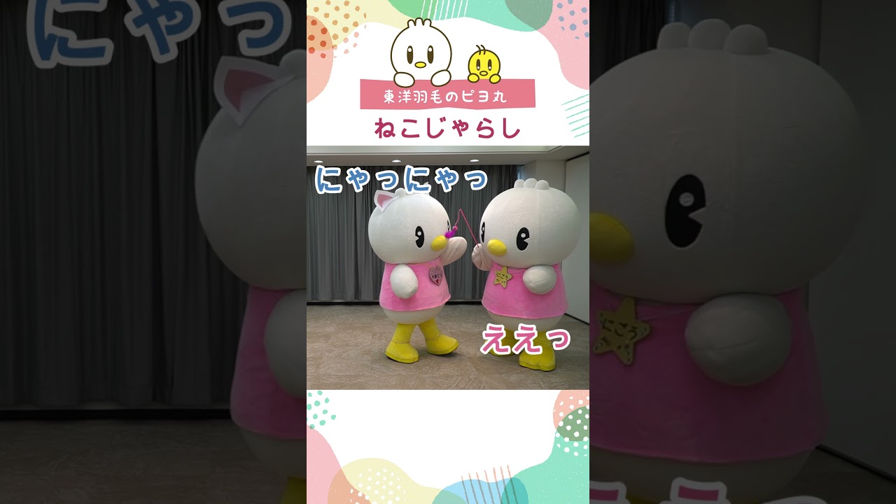【ピヨ丸】ねこじゃらし #Shorts #ピヨ丸 #東洋羽毛