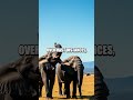 Bizarre Animal Communication Methods