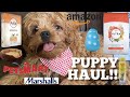 NEW PUPPY HAUL + MEET MY CAVAPOO PUPPY