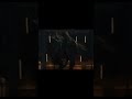 Giganotasurus edit