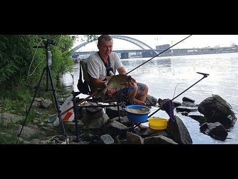Видео: Рыбалка на фидер Лещ в середине лета. Обзор фидерного кресла FOX Duralite- Korum X25 Accessory Chair