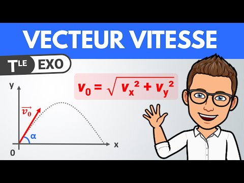 Velocity Vector And Parabolic Motion Final Year Specialization Physics