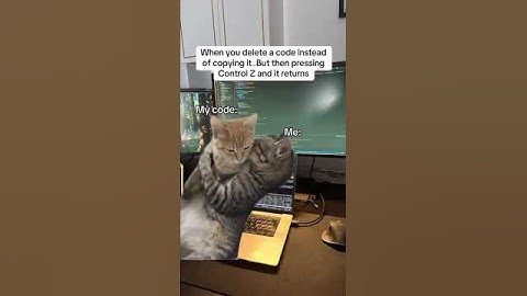 When You Delete Your Code… Then CTRL+Z Brings It Back 😭❤️#programmer #CTRL-Z #secondchance   #coding