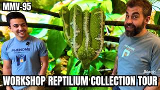 INSANE Full Bio-Active Reptile Collection Tour