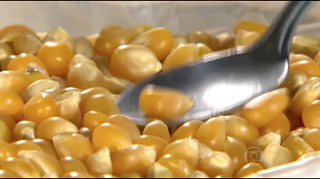 O que é necessário para que o milho da pipoca se transforma em pipoca?