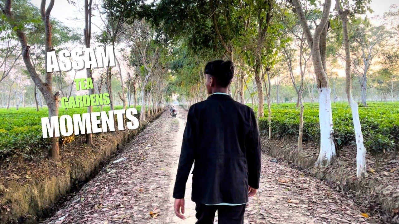 Aaj Gya Tha Tea Garden Taraf Ghumne Ke Liye 😃😉