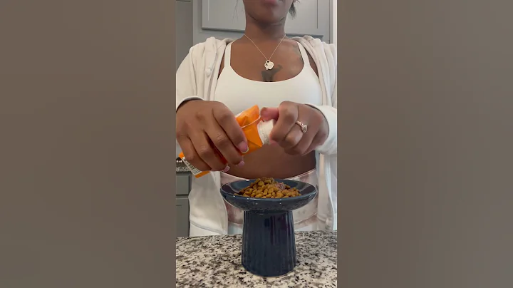 Video 2247051: persiancat cat funny, food persiancat, feeding cat funny