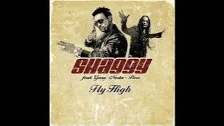 Shaggy feat Gary Nesta Pine - Fly high lyrics