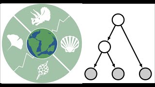 PBDB Webinar 5: PBDB for RevBayes Part 2