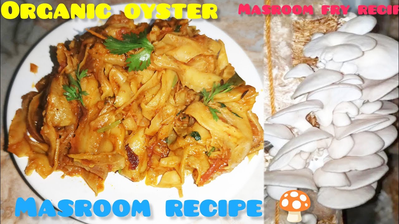 Ghar me lagai hui oyster Mushrooms recipe 😲इस तरीके से बनाए oyster🍄recipe organic fresh masroom