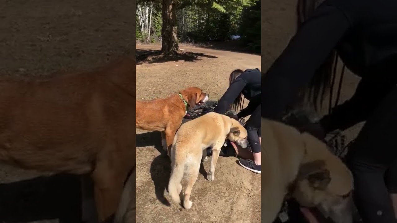 Blogpeople Blog その他7