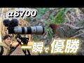 45万かけてミラーレス買ったら一日で元取れた《SONY α6700》