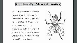 - Class insecta(Mosquitoes, Flies, Fleas, Lice, Bed bug) & Class Arachnida(Ticks, Mites, Spiders)