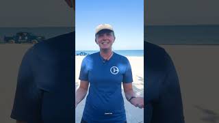 Sea Turtle Nesting Update @ClearwaterAquarium