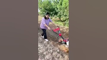 One machine for multiple uses saves time, effort and manpower Orchard greenhouse management rotary