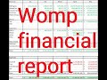 Womp detailled financial statement
