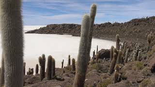 Salar de Uyuni Bolivia HD