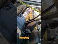 Kia seltos ka damping installation / Music:Sunshine Rainbows And LollipopsMusician:Alex Cap